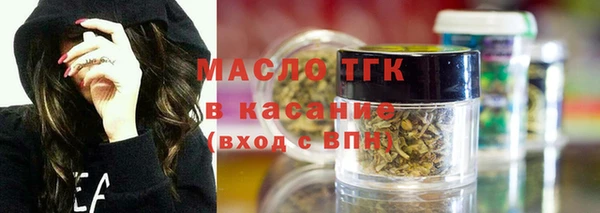 индика Балахна