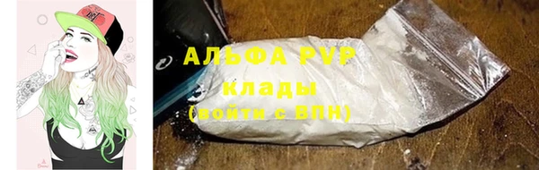индика Балахна