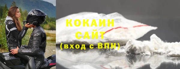 индика Балахна
