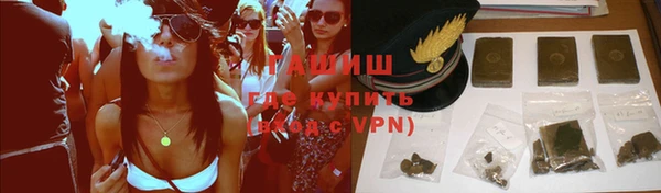 индика Балахна