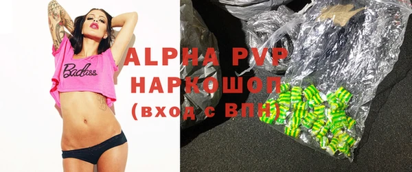 индика Балахна