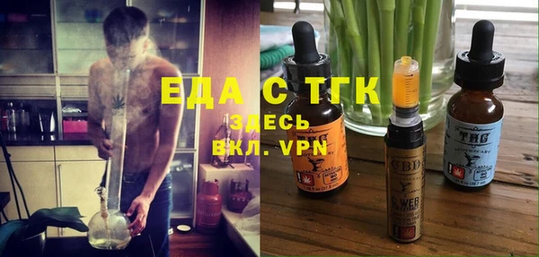 индика Балахна