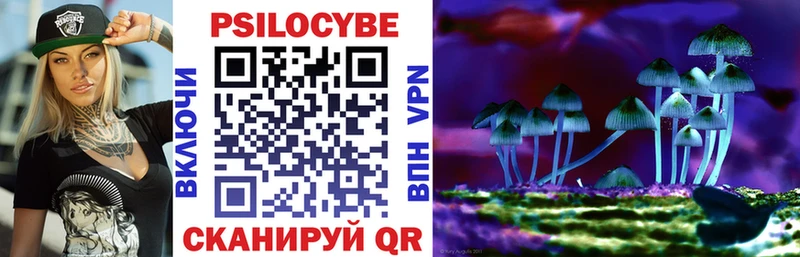 Псилоцибиновые грибы мицелий  Большой Камень 